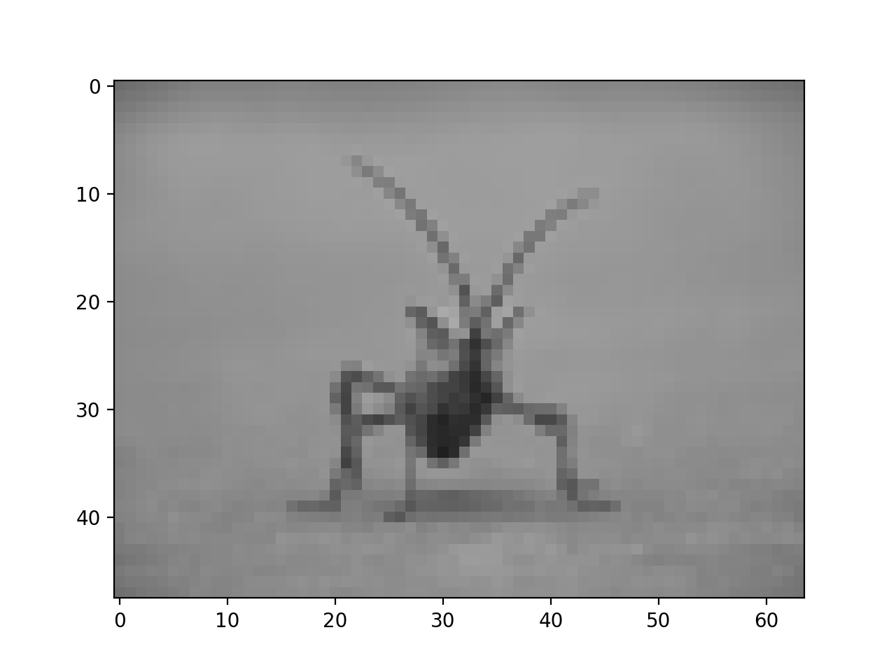 Bild-Tutorial_Matplotlib-Visualisierung mit Python
